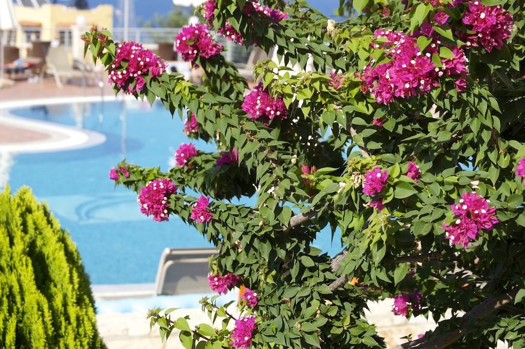 Pilot'S Villas Luxury Suites Hersonissos  Ngoại thất bức ảnh